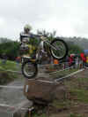 colley.jpg (112792 byte)