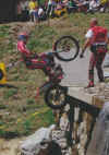 cobos.jpg (241089 byte)