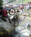 dario1.jpg (282690 byte)