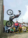 justribo2.jpg (128307 byte)
