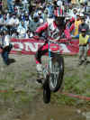 cobos1.jpg (200415 byte)