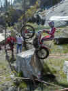 cobos5.jpg (218843 byte)